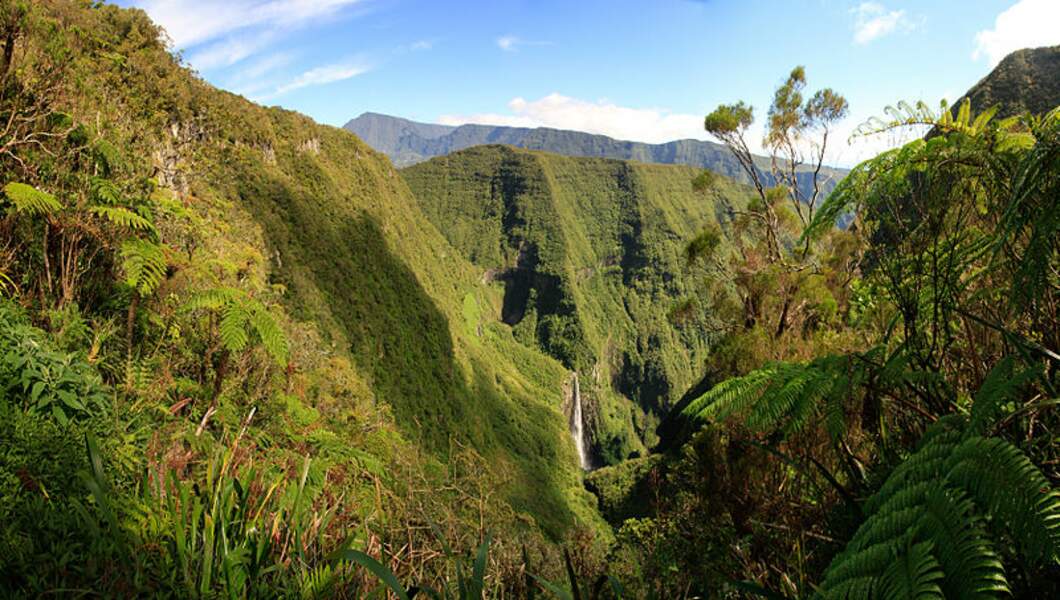 Le parc national de la Réunion