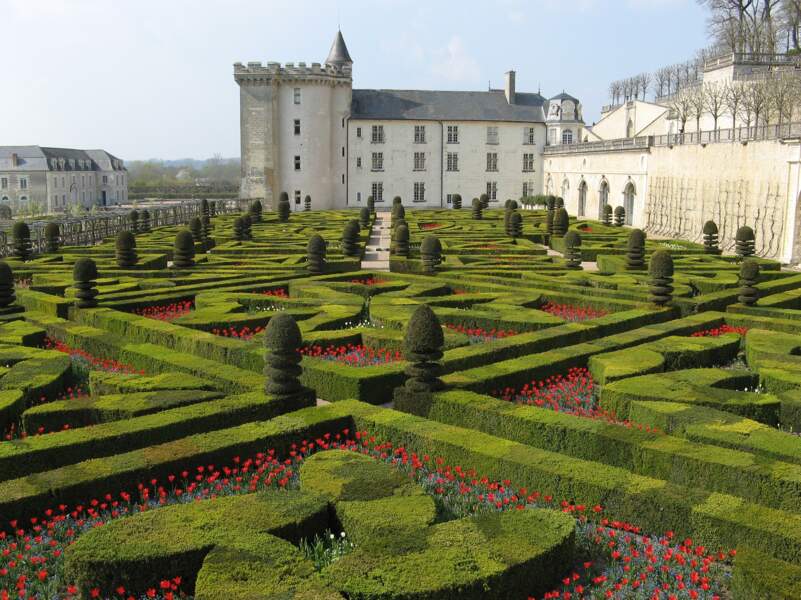 10- Le jardin du Château de Villandry