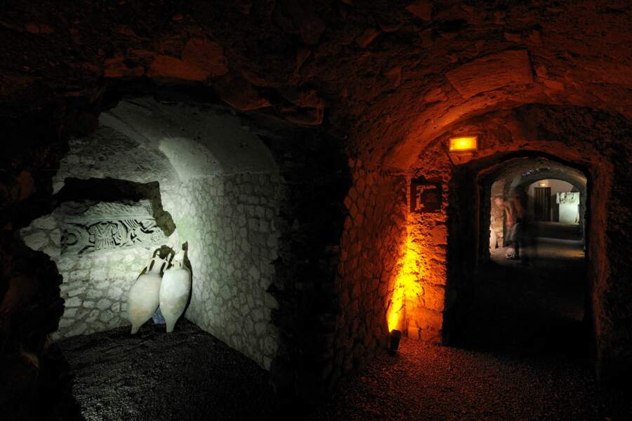 Horreum à Narbonne, un labyrinthe souterrain faisait office de cave à vin (1er siècle) 