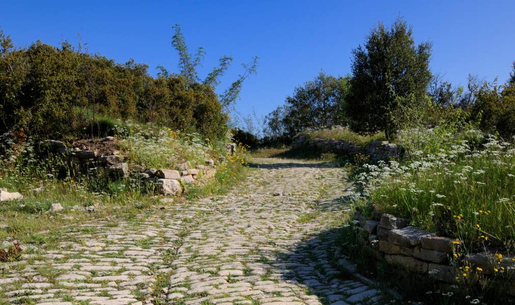 De Briançon à Perpignan, découvrez 10 sites romains de la via Domitia