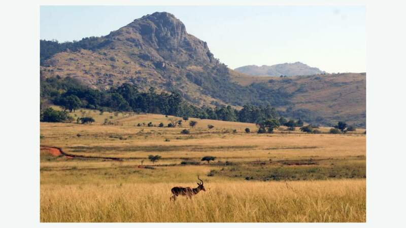 Paysage du Swaziland