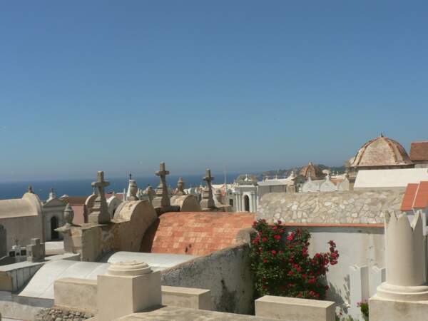 Le cimetière marin de San Franzé, à Bonifacio 