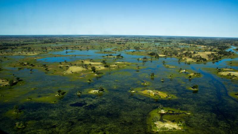 Delta de l'Okavango (Botswana)