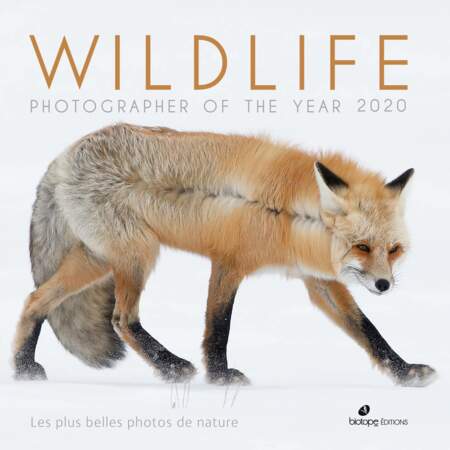 Wildlife Photographer of the Year 2020, le must de la photo animalière