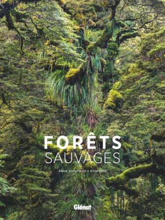 Forêts sauvages, au coeur des forêts du monde