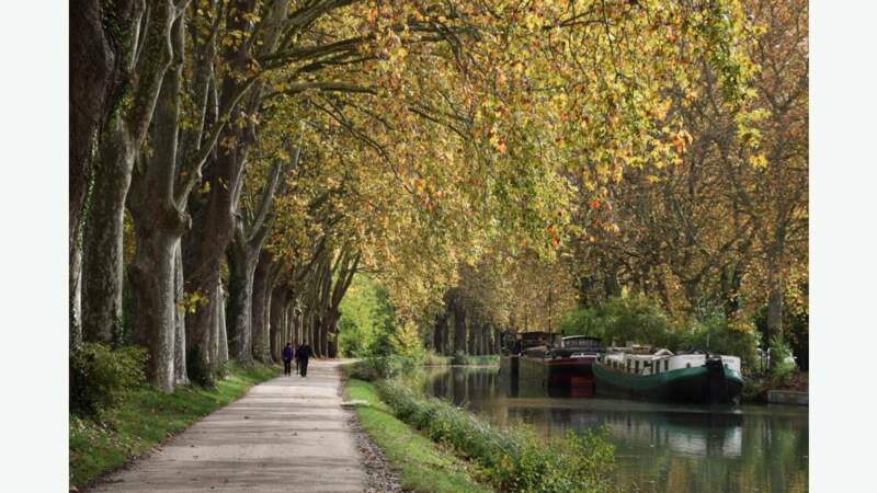 Le long du Canal du Midi, au sud de Toulouse