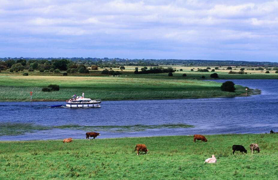 En péniche sur le fleuve Shannon, en Irlande