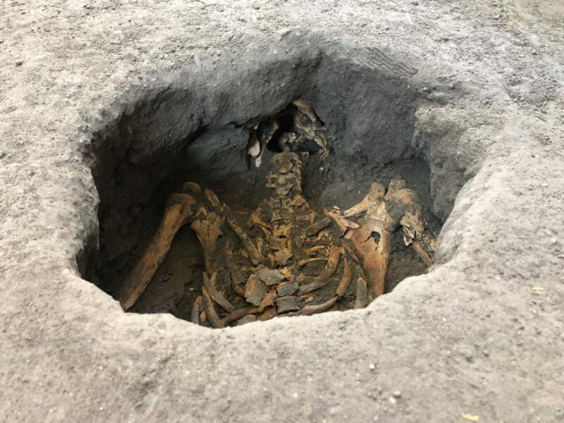 L'éruption Du Vésuve Qui Ensevelit Pompéi Sous Les Cendres Deux victimes de l'éruption du Vésuve découvertes dans les ruines de