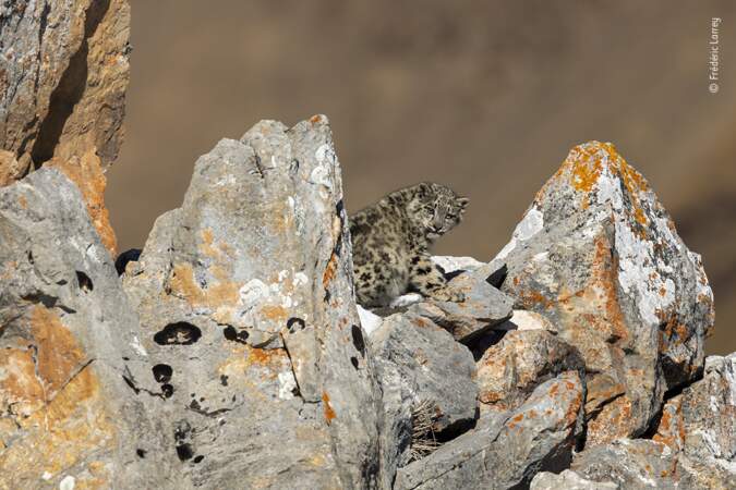 Cache-cache au milieu des rochers