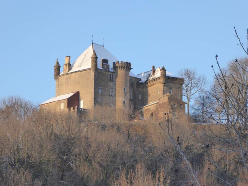 Le château fort de Frontenay 