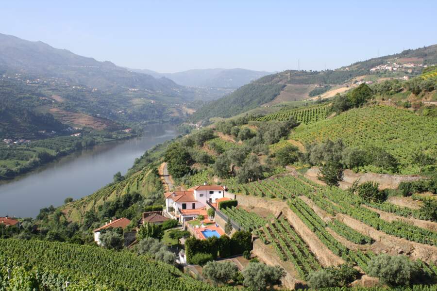 La vallée du Douro, au Portugal