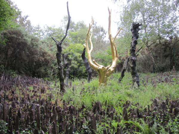 La forêt de Paimpont ou Brocéliande, en Bretagne 