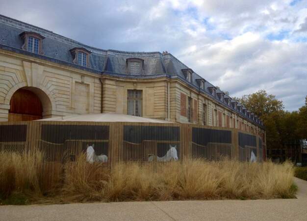 L'Académie équestre nationale du domaine de Versailles