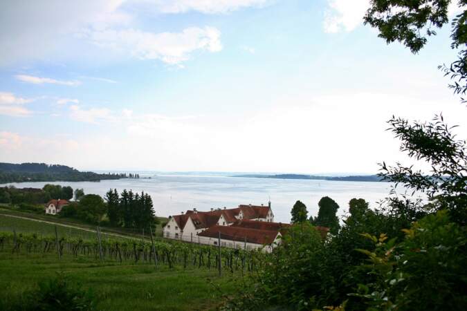 Le lac de Constance 