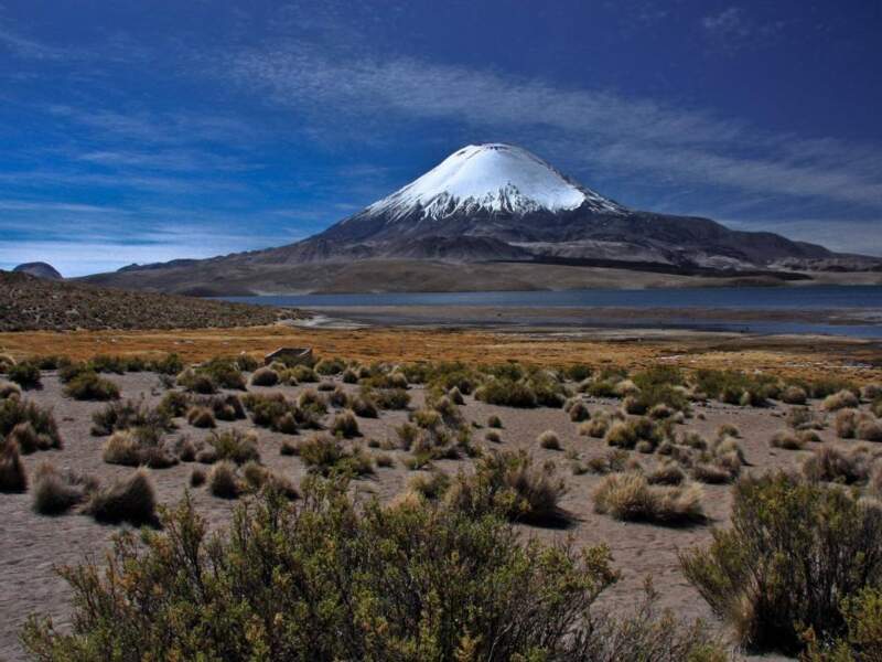 Chili - Parc national Lauca