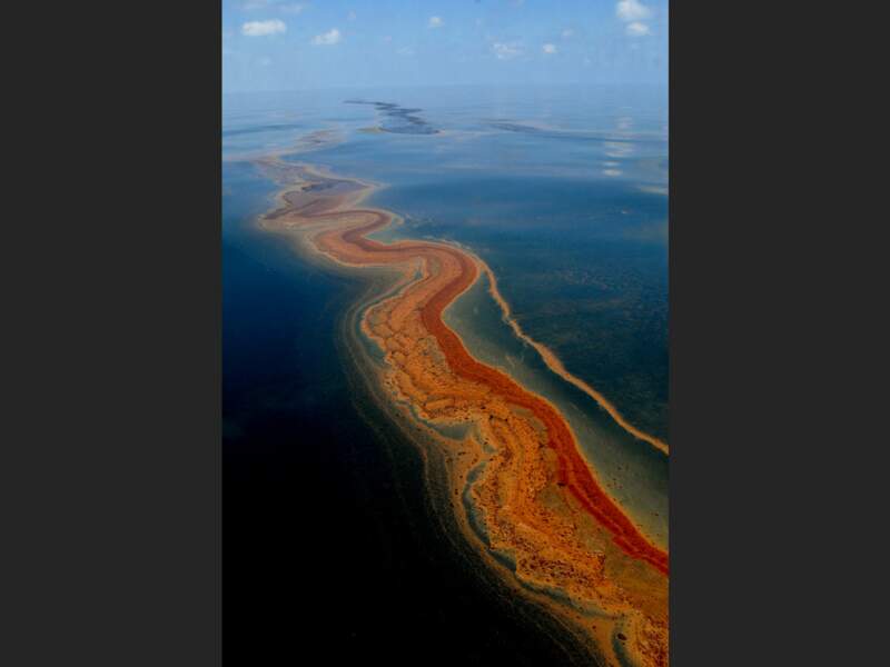Nappe composée de pétrole et de dispersants, dans le golfe du Mexique (Etats-Unis).