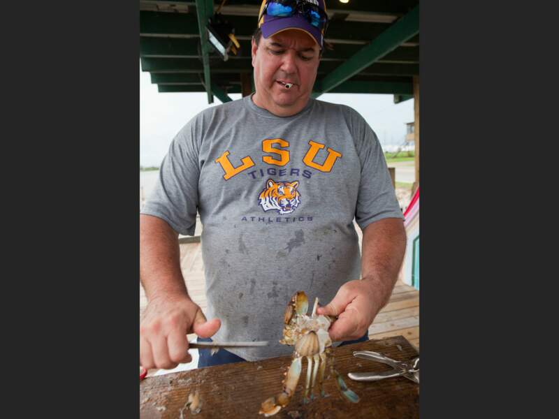 Ce pêcheur découpe un crabe quelques jours avant que ne soit décrétée l’interdiction de pêcher (Louisiane, Etats-Unis)