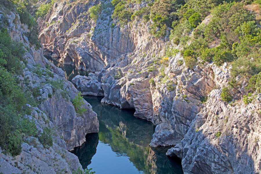 Les gorges de l'Hérault atteignent parfois plusieurs centaines de mètres de profondeur (France, Languedoc-Roussillon).