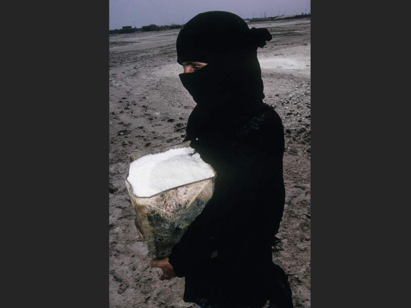 Collecte du sel à Bassora