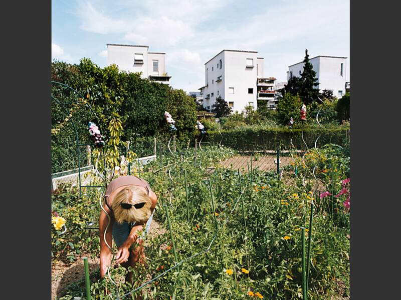 Dans les Hauts-de-Seine (Île-de-France), Châtenay-Malabry donne l'exemple de l'urbanisation écolo avec sa cité-jardins.