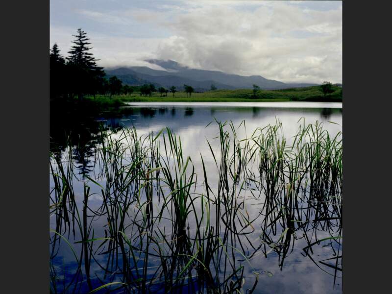 Les Cinq Lacs, dans la péninsule de Shiretoko, au Japon, attraction majeure du site classé par l'Unesco