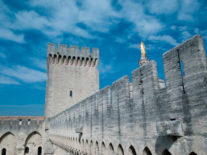 Vue des toits du Palais des papes, à Avignon