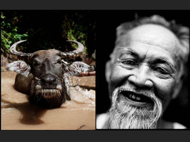 M. Tâm Hô, dit « le Tigre », 84 ans et trois guerres