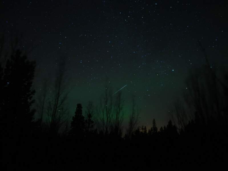 Passage d’une étoile filante dans le ciel étoilé de la région de Tromsø, en Norvège. 
