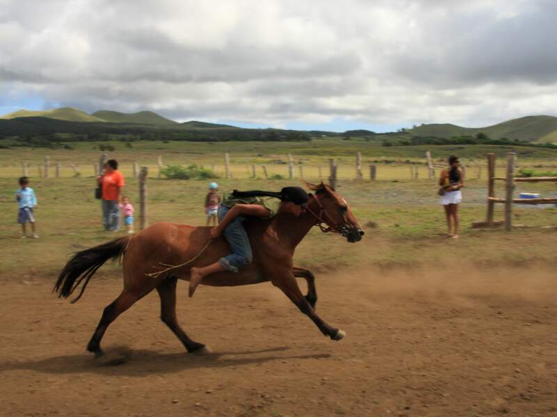 Cavalier ventre à terre lors de Tapati Rapa Nui
