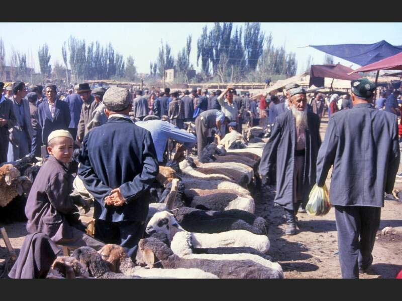 Marché aux moutons de Kashgar, au Xinjiang