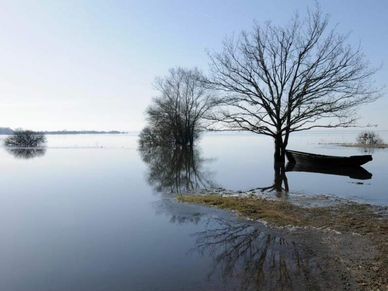Le lac de Grand-Lieu en hiver, en Loire-Atlantique (France).