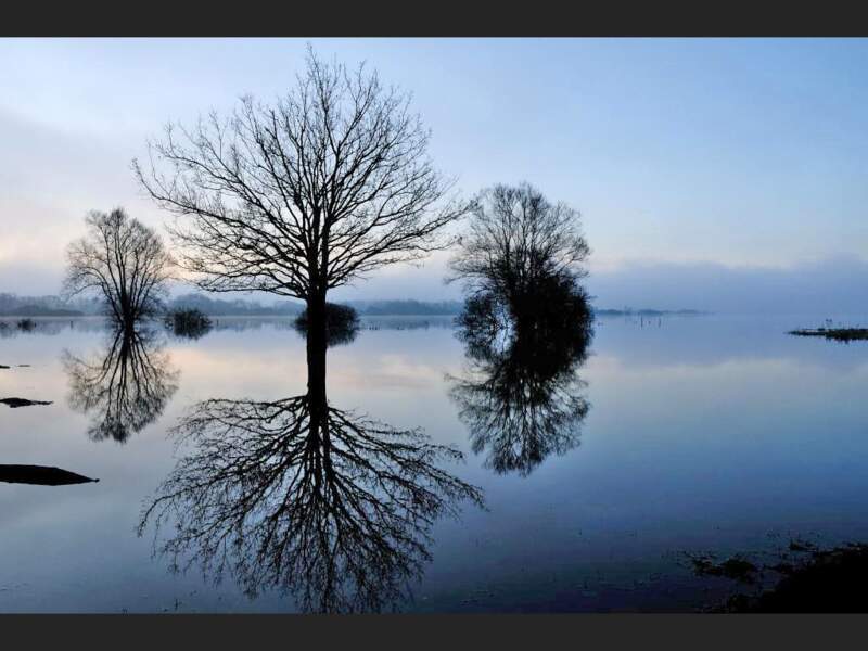 Le jour se lève sur le lac de Grand-Lieu, en Loire-Atlantique (France).