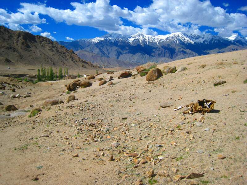 Le paysage rencontré pendant un trek vers Yang Chang est lunaire, Ladakh, Etat du Jammu-et-Cachemire, Inde