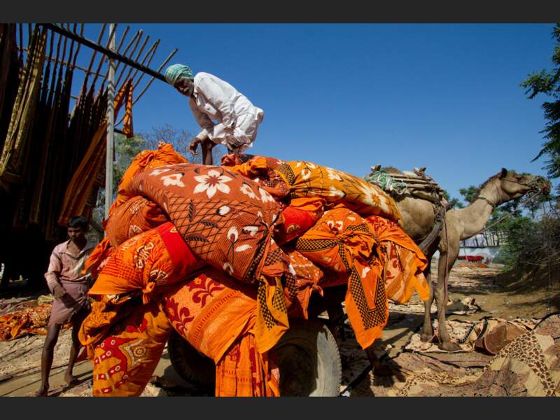 Une charrette tirée par un dromadaire part d’une usine de textiles à Jaipur, au Rajasthan, en Inde.