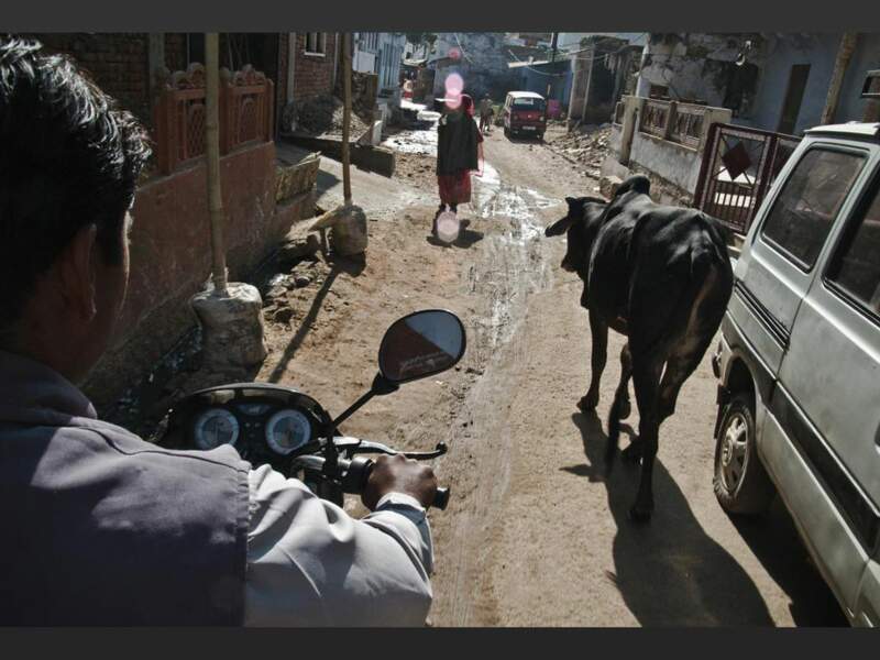 Un vétérinaire se rend chez des fermiers de Pushkar, au Rajasthan, en Inde.
