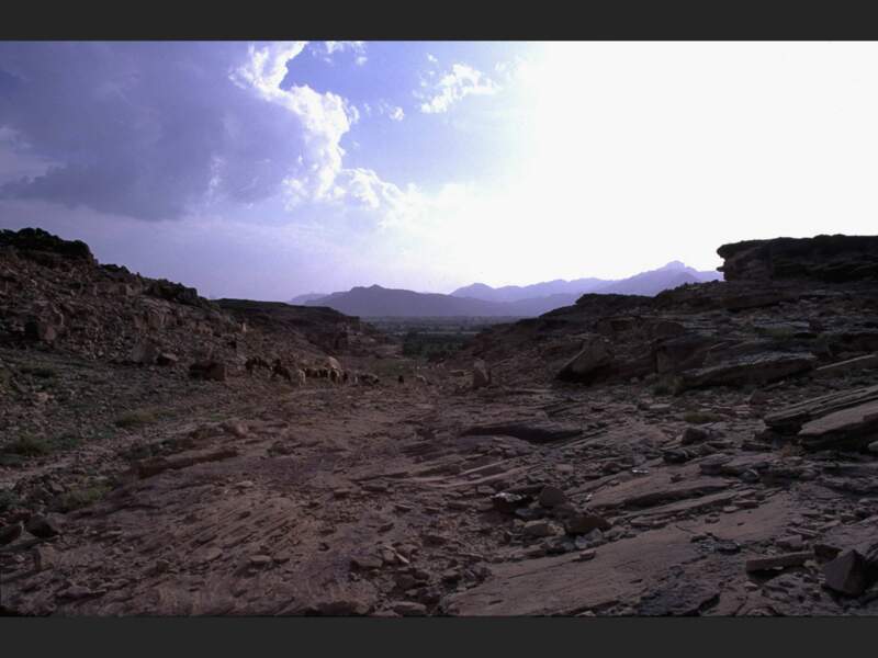 Vue depuis la maison de Farés, le plus gros cultivateur de qat de la région de Sa’dah, au nord du Yémen.