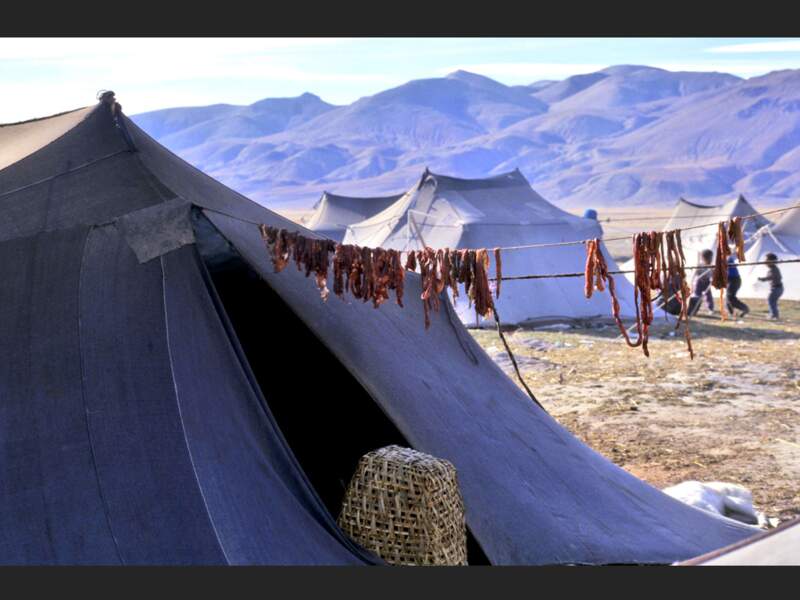 Tente, près de Tingri, Tibet