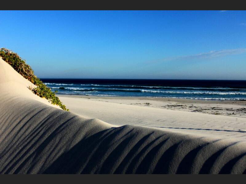 Des rivages préservés et du sable à perte de vue (Afrique du Sud).