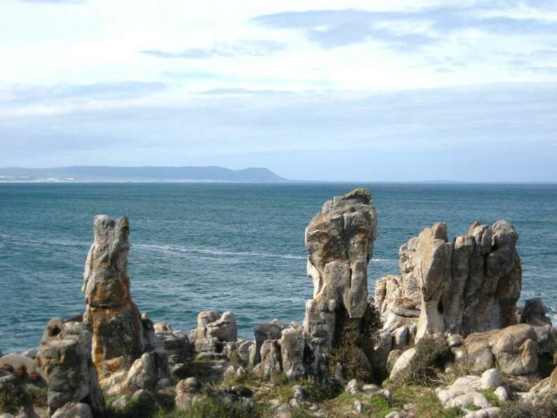 Aux environs de Gansbaai, site de plongée réputé en Afrique du Sud. 