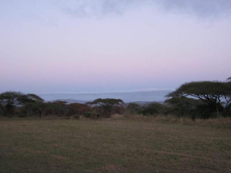 Vue de la réserve d’Hluhluwe-Umfolozi à l’aube, en Afrique du Sud. 
