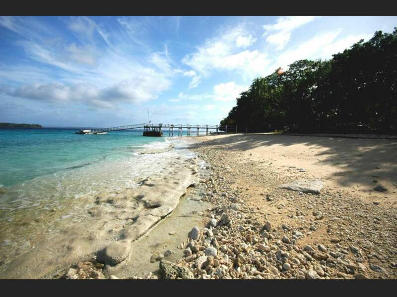  L’île d’Espiritu Santo abrite des fonds marins exceptionnels (archipel du Vanuatu).