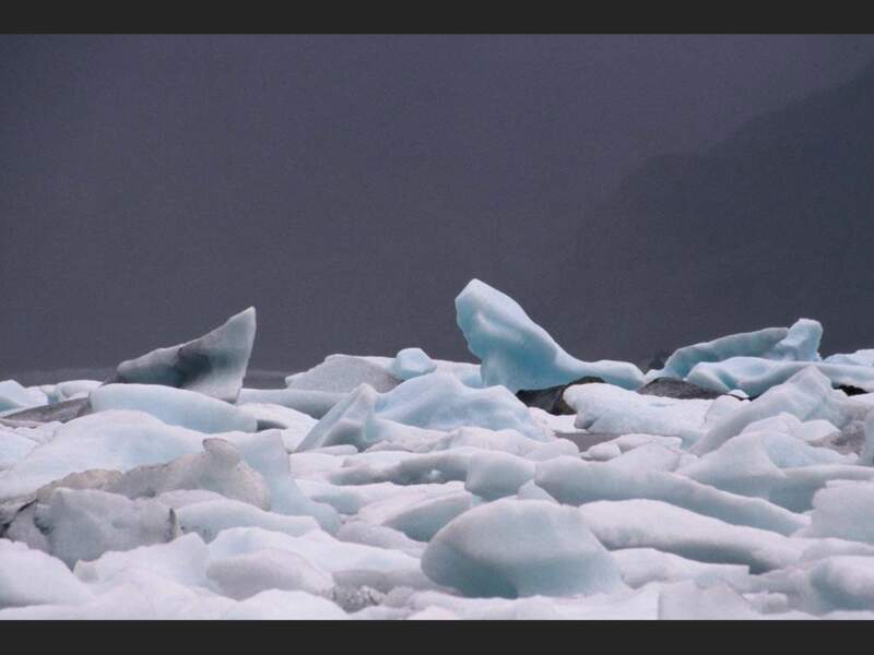 Petits icebergs autour du glacier Onelli, Patagonie argentine