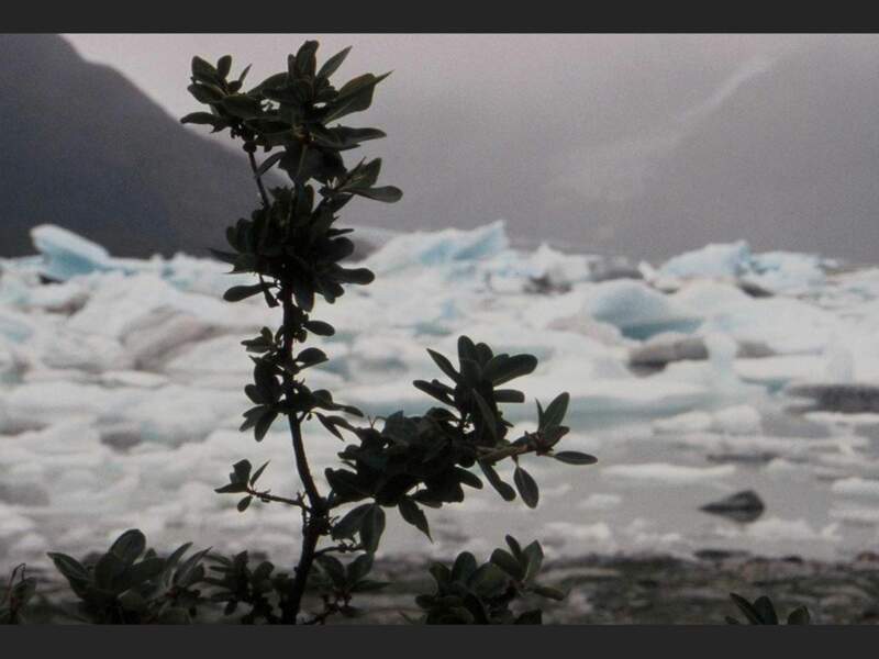 Le glacier Onelli en Patagonie argentine