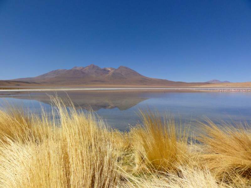 Les lagunes de l'Altiplano, dans le département de Potosi, en Bolivie