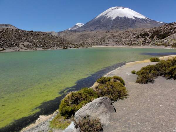 Le parc national Lauca, dans la province de Parinacota, au Chili