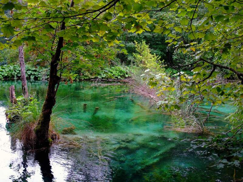 L'un des lacs inférieurs, dans le parc national Plitvice, dans les comitats Lika-Senj et Karlovac, en Croatie