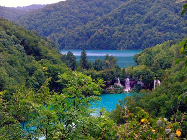 La forêt est dense autour des lacs, dans le parc national Plitvice, dans les comitats Lika-Senj et Karlovac, en Croatie