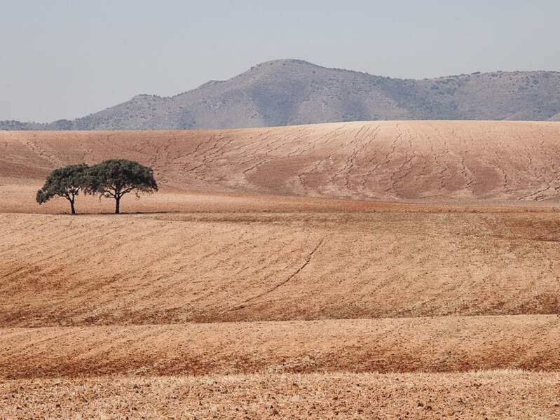 Paysage marqué par la sécheresse en Andalousie, en Espagne