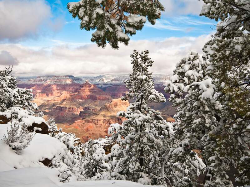 Ambiance hivernale au parc national du Grand Canyon, Arizona, Etats-Unis