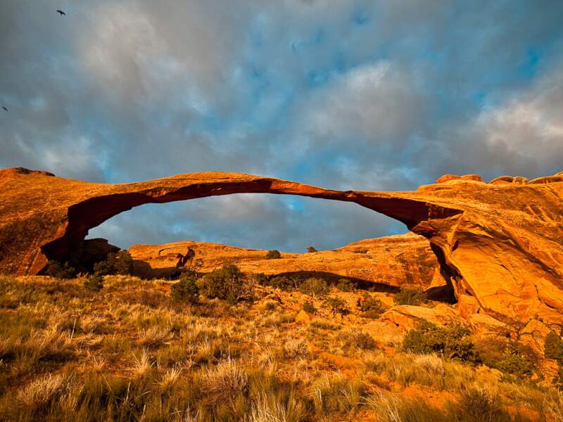 Le Landscape Arch, l'un des plus beaux et fragiles, à Arches National Park, Utah, Etats-Unis